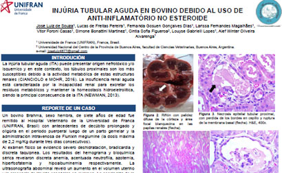 research-thumb