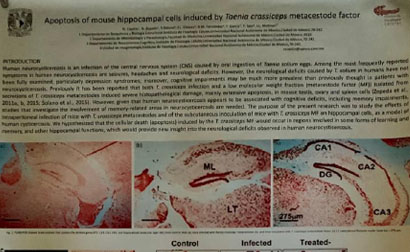 research-thumb